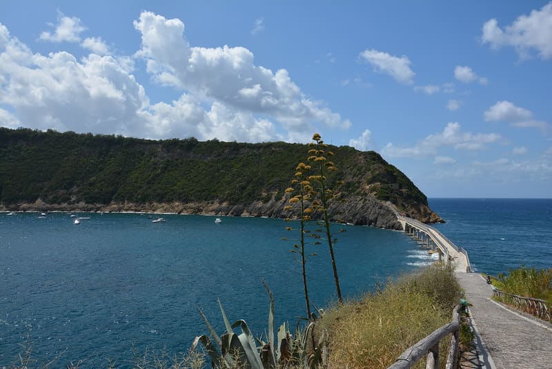 L'isolotto di Vivara e il ponte che lo collega a Procida